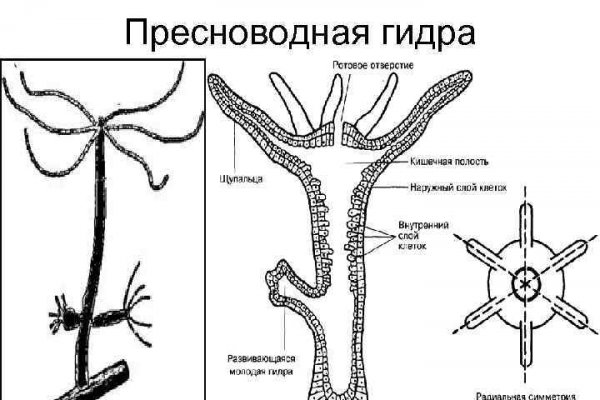 Кракен через тор