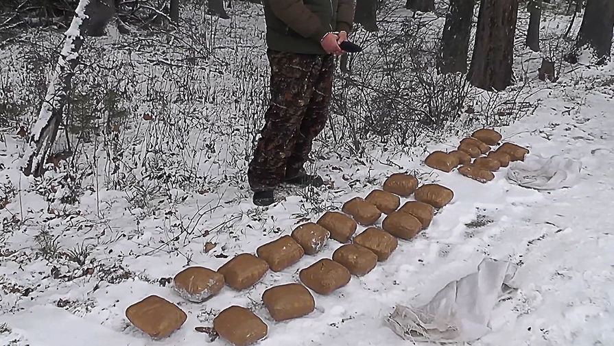 Через какой браузер зайти на кракен